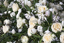 鮮花,喪,墳場(chǎng)