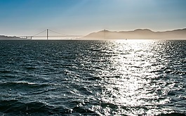 舊金山,灣,海洋