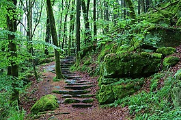 石樓梯,離,崛起