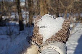 冬天,雪,冷