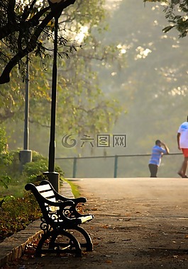 公園,花園,自然