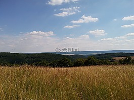 草地,景觀,性質(zhì)