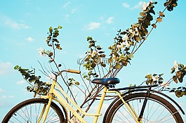 自行車(chē),山地自行車(chē),老
