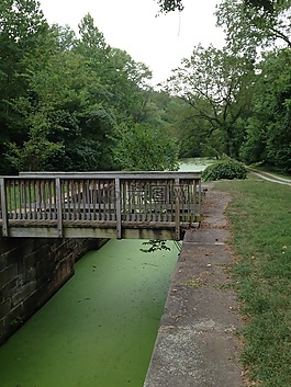 運河,夏天,橋
