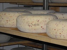 奶酪,食品,股票