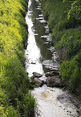 過獨(dú)身生活,河,水