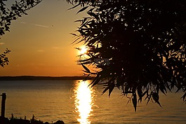 夏天,海灘,湖