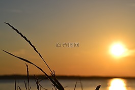 夏天,黃昏,水