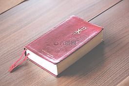 書,圣經(jīng),老