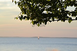 船,湖,夏天