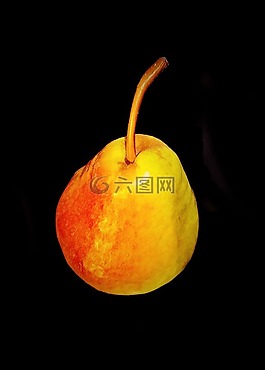 梨,水果,多汁