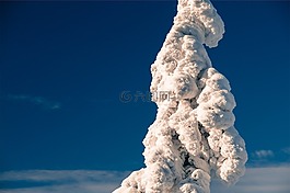 雪,冬天,藍(lán)色