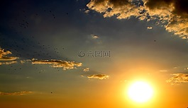 日落,鳥,云