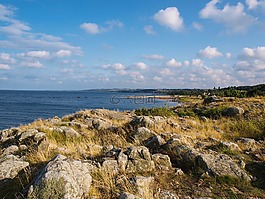 海岸,巖,海
