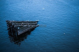 木材,树干,匝道