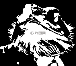 蜥蜴,性別與發展,野獸