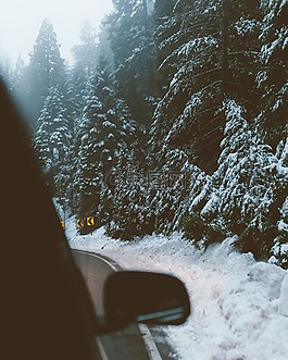 雪,冬天,白