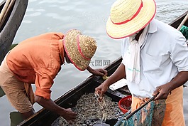 在印度漁民,費(fèi)雪在克雷拉,在 allepeay 捕魚(yú)