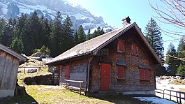 高山,首頁(yè),山