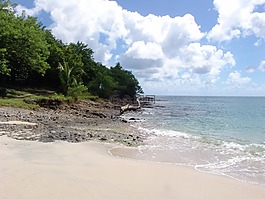 加勒比海,海灘,mabouya