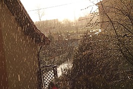 春,雨,太陽