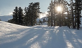 人,雪,冬天