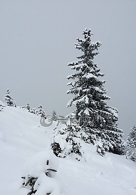 雪,冬天,高山