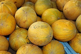瓜,水果,食品
