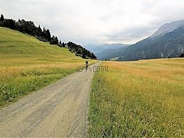 景觀,性質,草