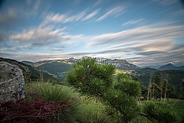 戶外,夏季,山