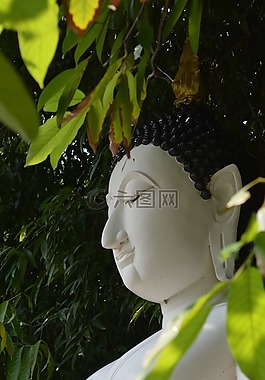 宗教,佛,雕像