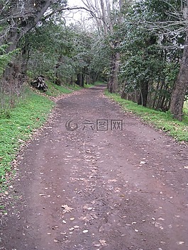 景观,加那利群岛,大加那利岛