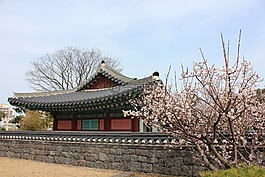 济州岛,澳鸭荣,韩国