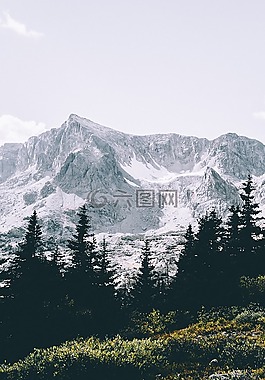 自然,山,樹