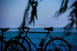 自行車,目睹,體育