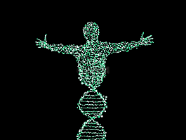 男子,dna,螺旋