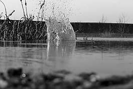 水,喷雾,水游戏