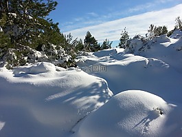 雪,冬天,景區(qū)