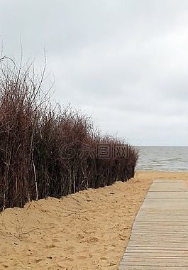 沙丘,海岸,海滩