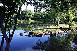 湖,寧靜,和平