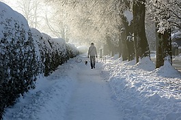 雪,冬天,離