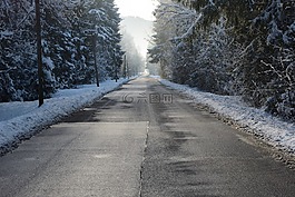 道路,冬天,雪