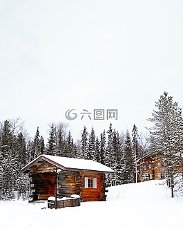 雪,冬天,白