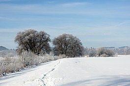 景觀,冬天,雪