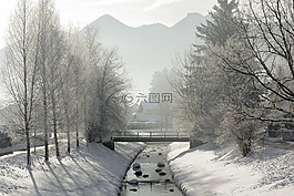 景觀,冬天,雪