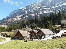 山上的小屋,春天,高山