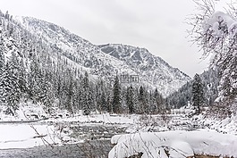 冬天,树,河
