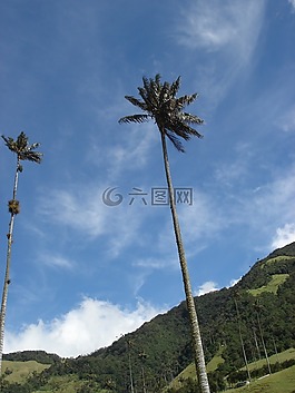 帕爾馬斯,天空,云