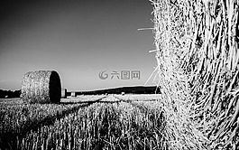 字段,秸稈,稻草包