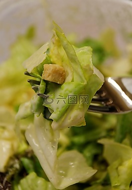 沙拉,吃,食品